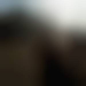 svsha