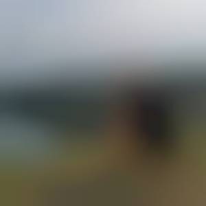 devon82