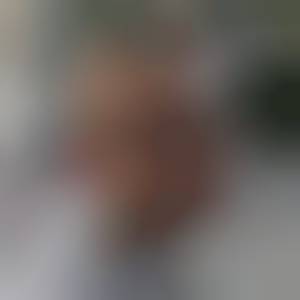 ganimed_fryg