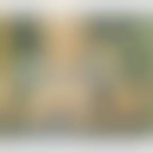wiki-