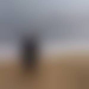 adamussowocowy