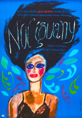 Plakat filmu Noc Iguany (1964)