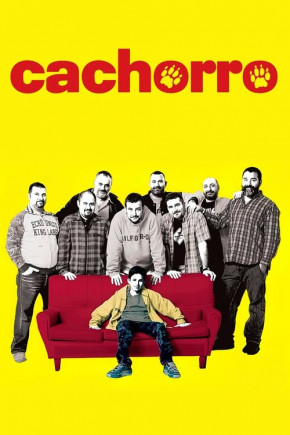 Plakat filmu Miśki (2004)