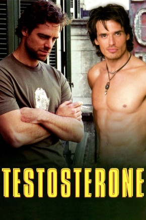 Plakat filmu Testosterone (2003)