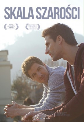 Plakat filmu Skala szarości (2015)