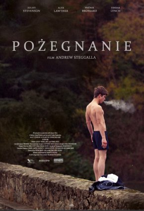 Plakat filmu Pożegnanie (2015)