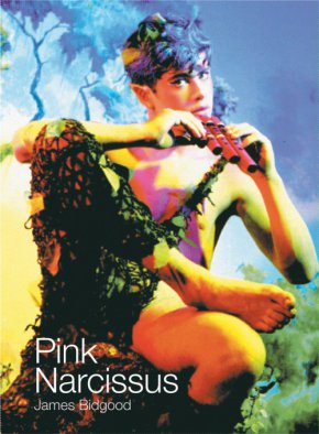 Plakat filmu Pink Narcissus (1971)