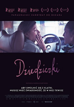 Plakat filmu Dziedziczki (2018)