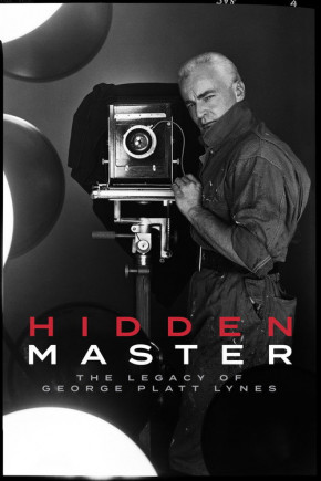 Plakat filmu Ukryty mistrz (2024)