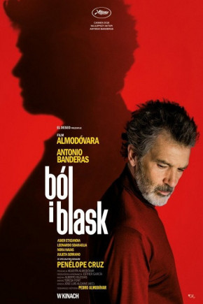 Plakat filmu Ból i blask (2019)