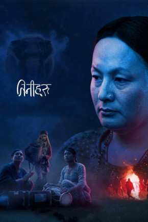 Plakat filmu Les Éléphants dans la brume (2026)